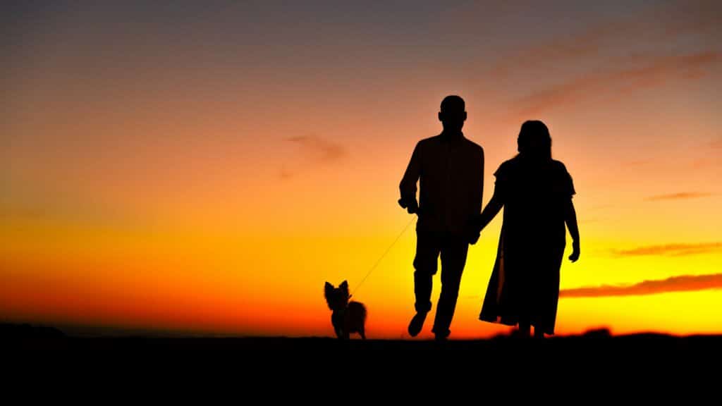 Couple Walking Dog in the Sunset Date