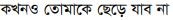 Never Go Away From You in Bengali